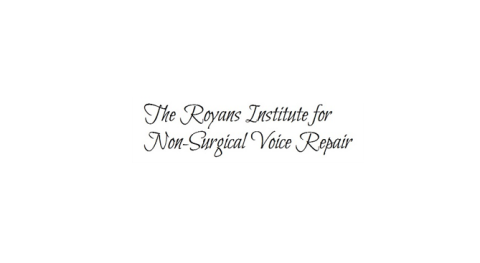 Repair Your Voice