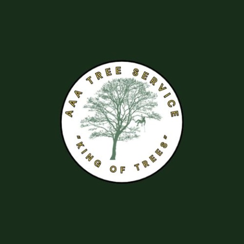 AAA 4 Trees