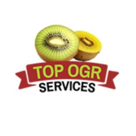 TOP OGR