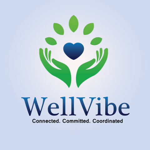 WellVibe NDIS Service Provider