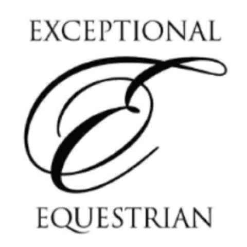 Exceptional Equestrian