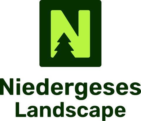 Niedergeses Landscape