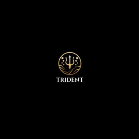 Trident Professional Cleaning Services