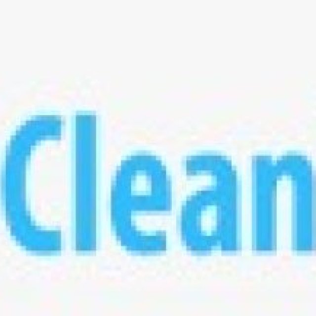 The CleanUP Guys
