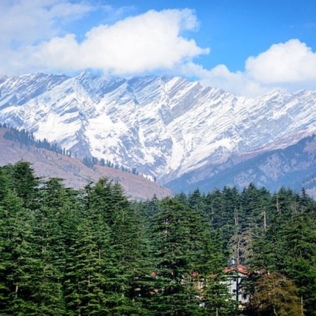 Suvidha Travels