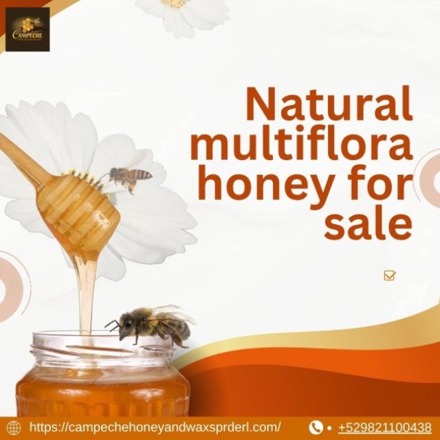 Campeche Honey