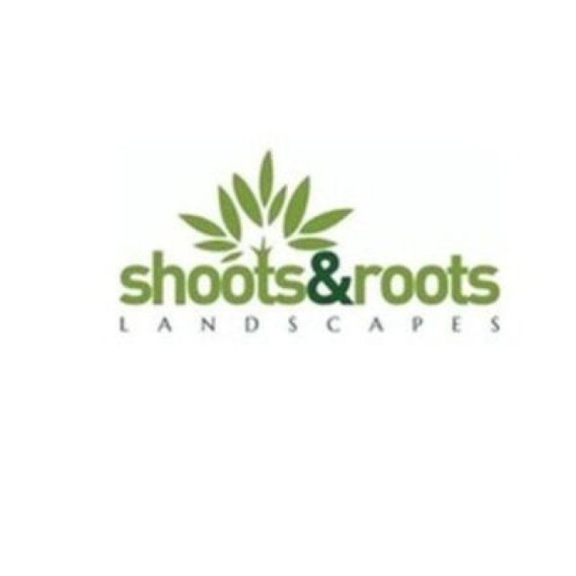 Shootsandrootswales